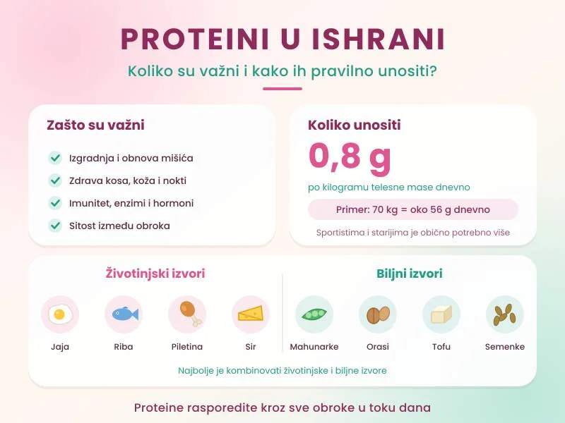 Proteini u ishrani: koliko su važni i kako ih pravilno unositi?